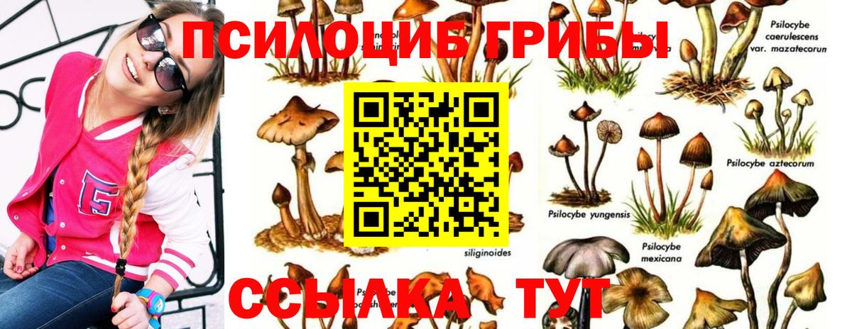 Псилоцибиновые грибы ЛСД  Вход с VPN  Ухта 
