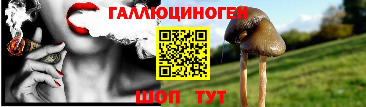 Галлюциногенные грибы Magic Shrooms Ухта